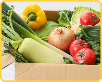 50種類以上の野菜をランダム配送