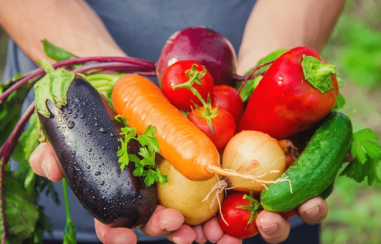 まるごとについて