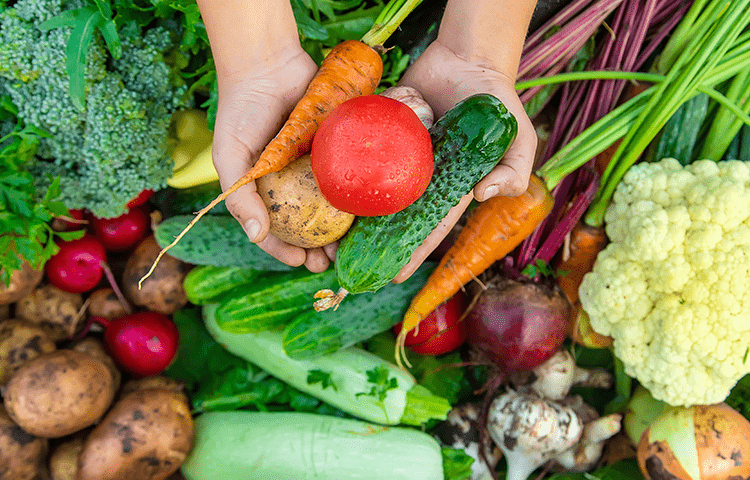 プライバシーポリシー