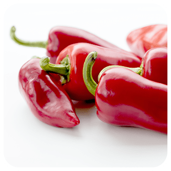 株式会社まるごと