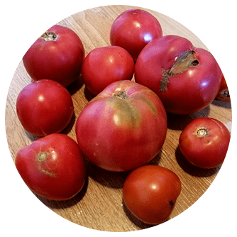 株式会社まるごと