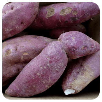 株式会社まるごと