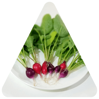 株式会社まるごと