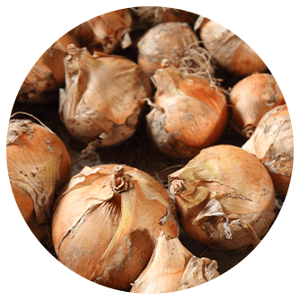 株式会社まるごと