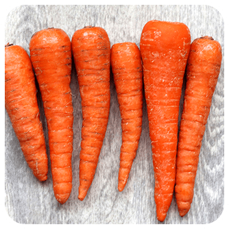 株式会社まるごと