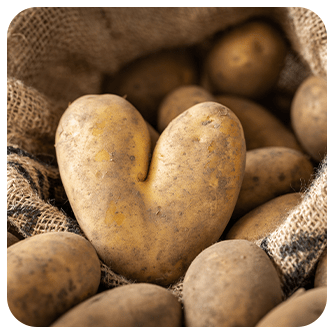 株式会社まるごと