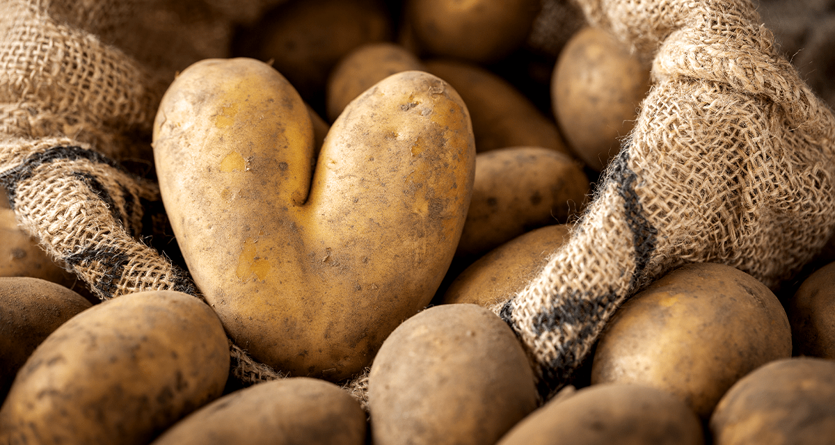 株式会社まるごと