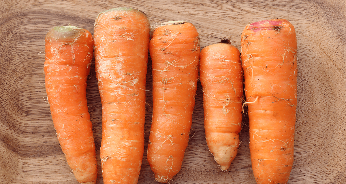 株式会社まるごと